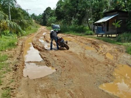 Jalan Rusak Sepanjang 5 KM, Warga Desa Sungai Kuning Dambakan Pengaspalan Jalan